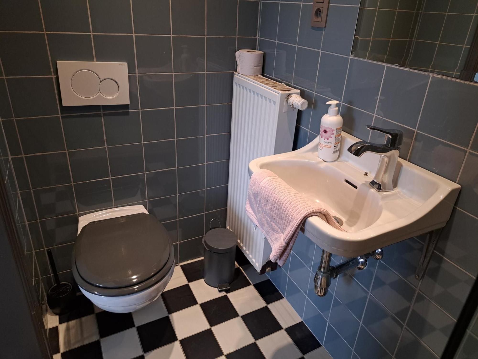 B&B Pickery Bruges Extérieur photo
